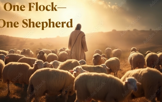 One Flock–One Shepherd