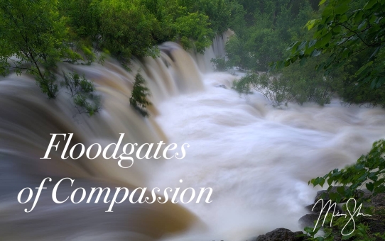 Floodgates of Compassion