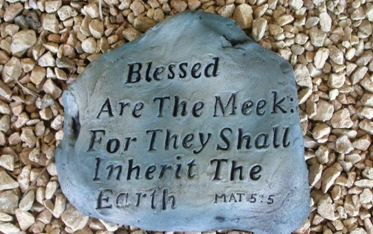 Blessed Are the Meek