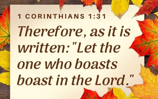 “Boasting Covers Wounds”