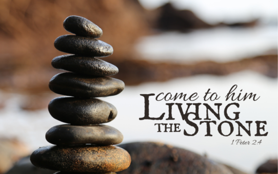 “Breathing, Living Stones”